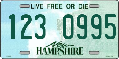NH license plate 1230995