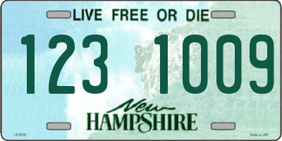 NH license plate 1231009