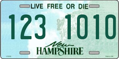 NH license plate 1231010