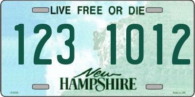NH license plate 1231012