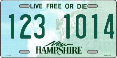 NH license plate 1231014
