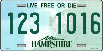 NH license plate 1231016