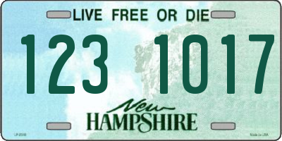 NH license plate 1231017