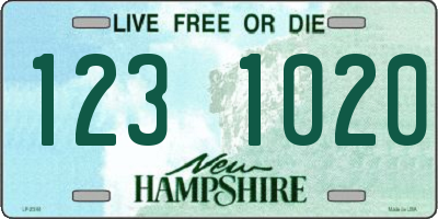 NH license plate 1231020
