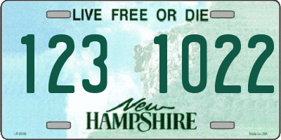 NH license plate 1231022