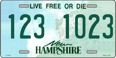 NH license plate 1231023
