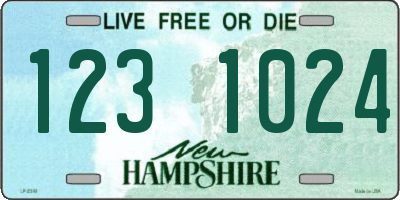 NH license plate 1231024