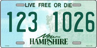 NH license plate 1231026