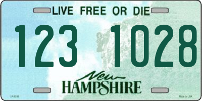NH license plate 1231028