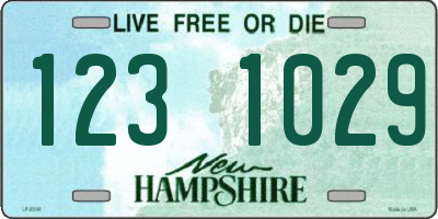 NH license plate 1231029