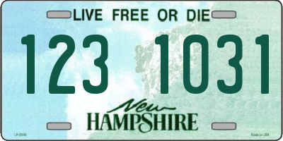 NH license plate 1231031