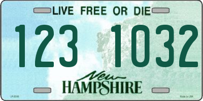 NH license plate 1231032