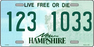 NH license plate 1231033