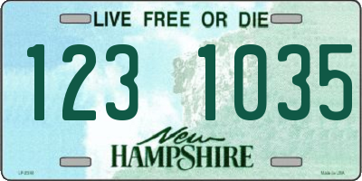 NH license plate 1231035