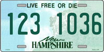 NH license plate 1231036