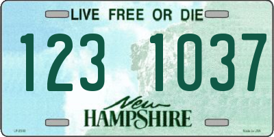 NH license plate 1231037