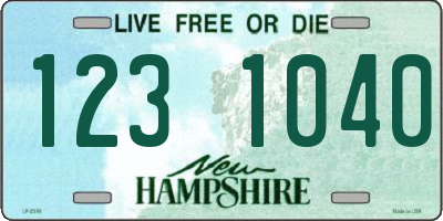 NH license plate 1231040