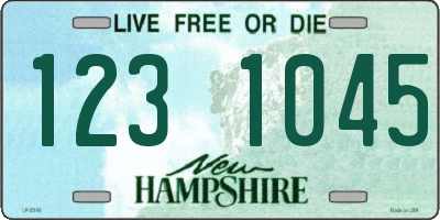NH license plate 1231045