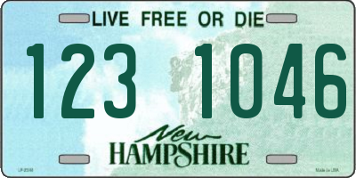 NH license plate 1231046