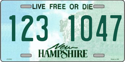 NH license plate 1231047