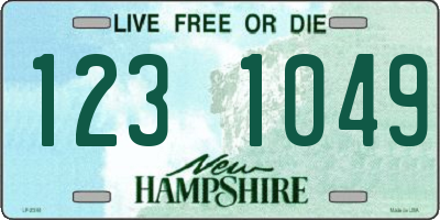 NH license plate 1231049
