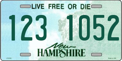 NH license plate 1231052