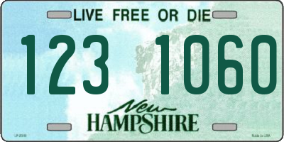 NH license plate 1231060