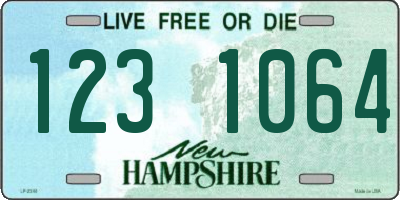 NH license plate 1231064