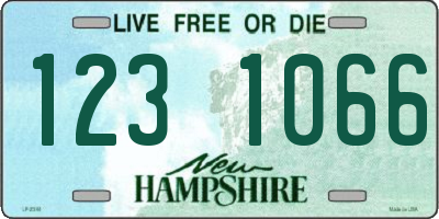 NH license plate 1231066