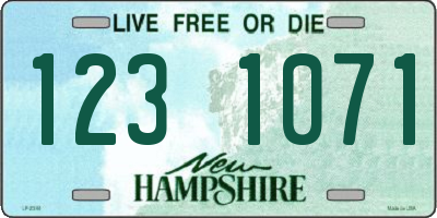 NH license plate 1231071