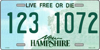NH license plate 1231072
