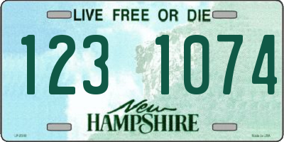 NH license plate 1231074