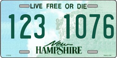 NH license plate 1231076