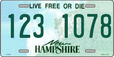 NH license plate 1231078