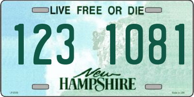 NH license plate 1231081