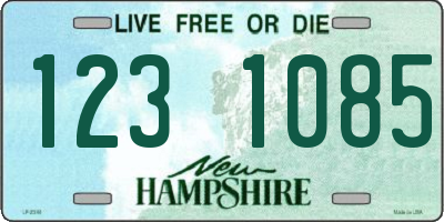 NH license plate 1231085