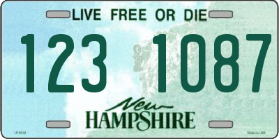 NH license plate 1231087
