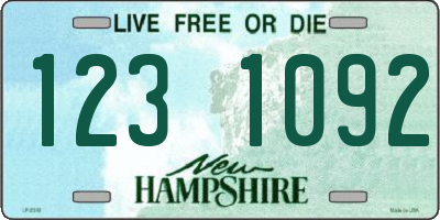 NH license plate 1231092