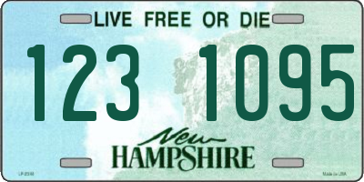 NH license plate 1231095