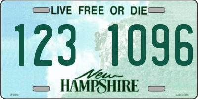 NH license plate 1231096