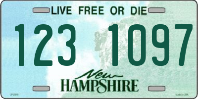 NH license plate 1231097