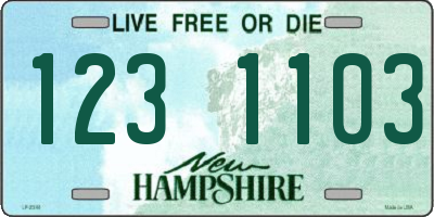NH license plate 1231103