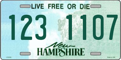 NH license plate 1231107