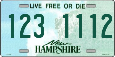 NH license plate 1231112