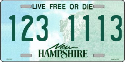 NH license plate 1231113