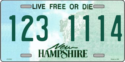 NH license plate 1231114