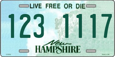 NH license plate 1231117