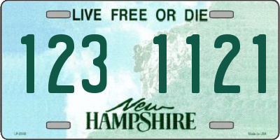 NH license plate 1231121