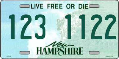 NH license plate 1231122