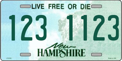 NH license plate 1231123